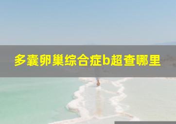 多囊卵巢综合症b超查哪里