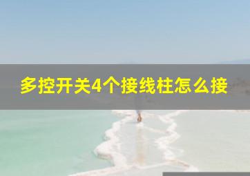 多控开关4个接线柱怎么接