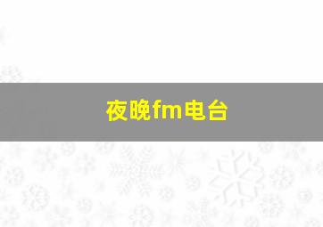 夜晚fm电台