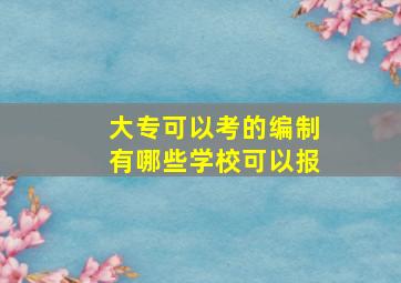 大专可以考的编制有哪些学校可以报