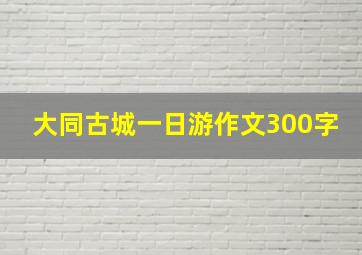 大同古城一日游作文300字