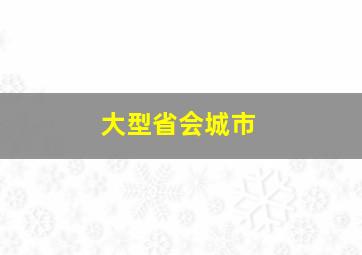 大型省会城市