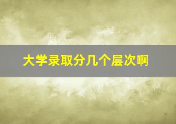 大学录取分几个层次啊