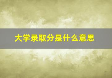 大学录取分是什么意思