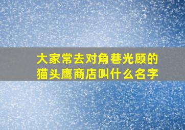 大家常去对角巷光顾的猫头鹰商店叫什么名字