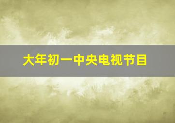 大年初一中央电视节目