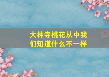 大林寺桃花从中我们知道什么不一样