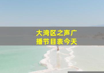 大湾区之声广播节目表今天