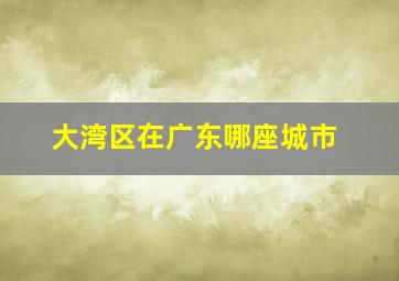 大湾区在广东哪座城市