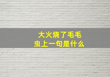 大火烧了毛毛虫上一句是什么