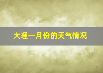 大理一月份的天气情况