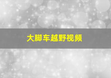 大脚车越野视频