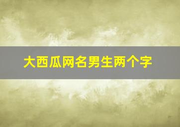 大西瓜网名男生两个字