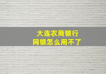 大连农商银行网银怎么用不了