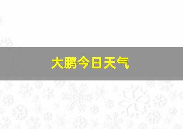 大鹏今日天气