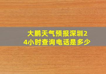 大鹏天气预报深圳24小时查询电话是多少