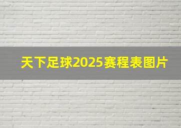 天下足球2025赛程表图片