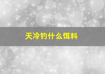 天冷钓什么饵料