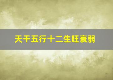 天干五行十二生旺衰弱