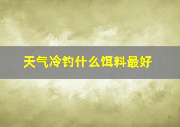 天气冷钓什么饵料最好