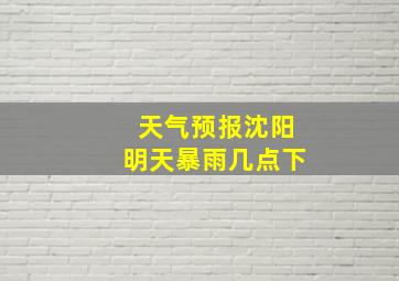 天气预报沈阳明天暴雨几点下