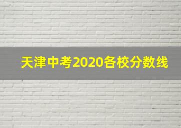 天津中考2020各校分数线