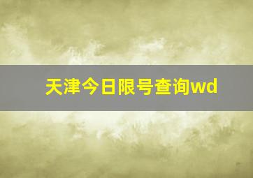 天津今日限号查询wd