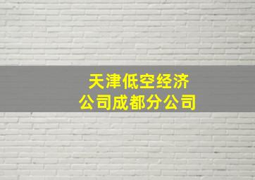 天津低空经济公司成都分公司