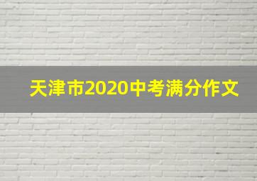 天津市2020中考满分作文