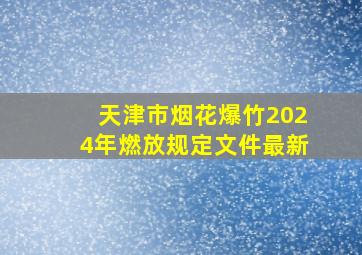 天津市烟花爆竹2024年燃放规定文件最新