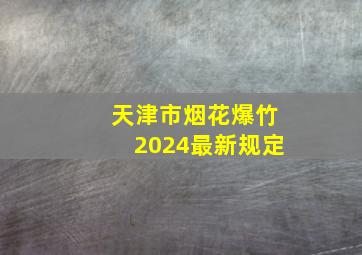 天津市烟花爆竹2024最新规定