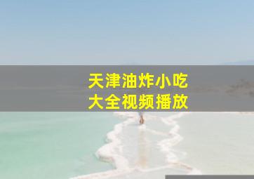 天津油炸小吃大全视频播放