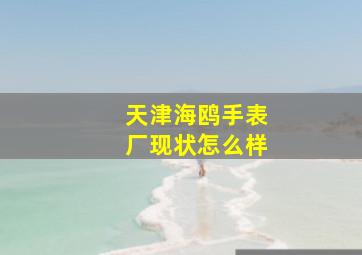 天津海鸥手表厂现状怎么样