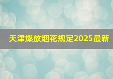 天津燃放烟花规定2025最新