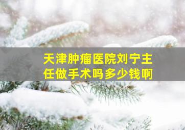 天津肿瘤医院刘宁主任做手术吗多少钱啊