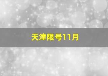 天津限号11月