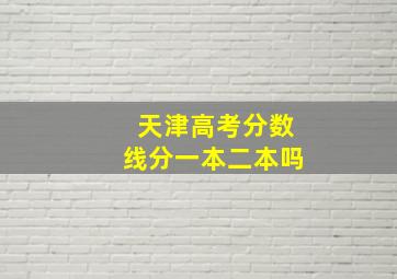 天津高考分数线分一本二本吗