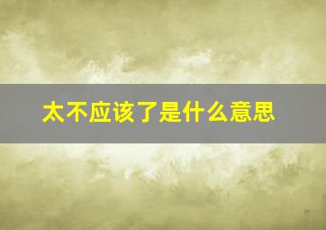 太不应该了是什么意思