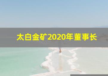 太白金矿2020年董事长