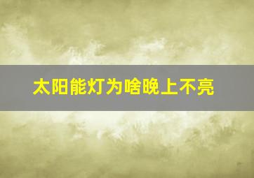 太阳能灯为啥晚上不亮