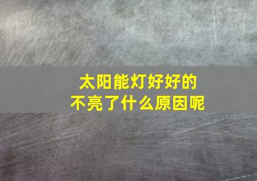 太阳能灯好好的不亮了什么原因呢