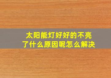 太阳能灯好好的不亮了什么原因呢怎么解决