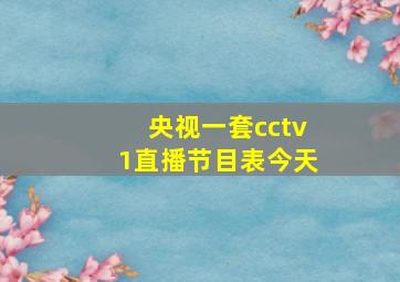 央视一套cctv1直播节目表今天