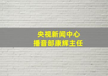 央视新闻中心播音部康辉主任