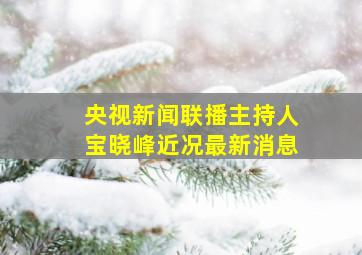 央视新闻联播主持人宝晓峰近况最新消息