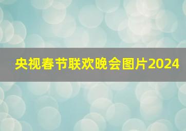 央视春节联欢晚会图片2024