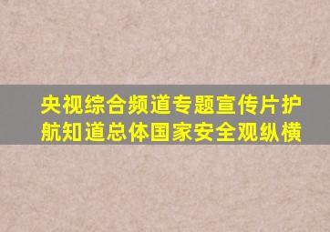 央视综合频道专题宣传片护航知道总体国家安全观纵横