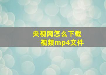 央视网怎么下载视频mp4文件