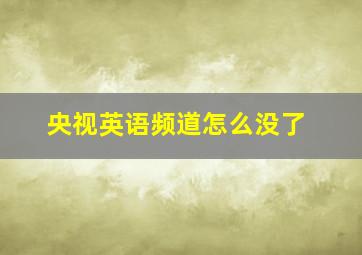 央视英语频道怎么没了