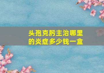 头孢克肟主治哪里的炎症多少钱一盒